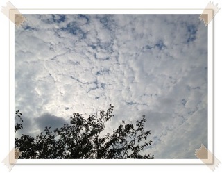 秋の曇り空_400.jpg